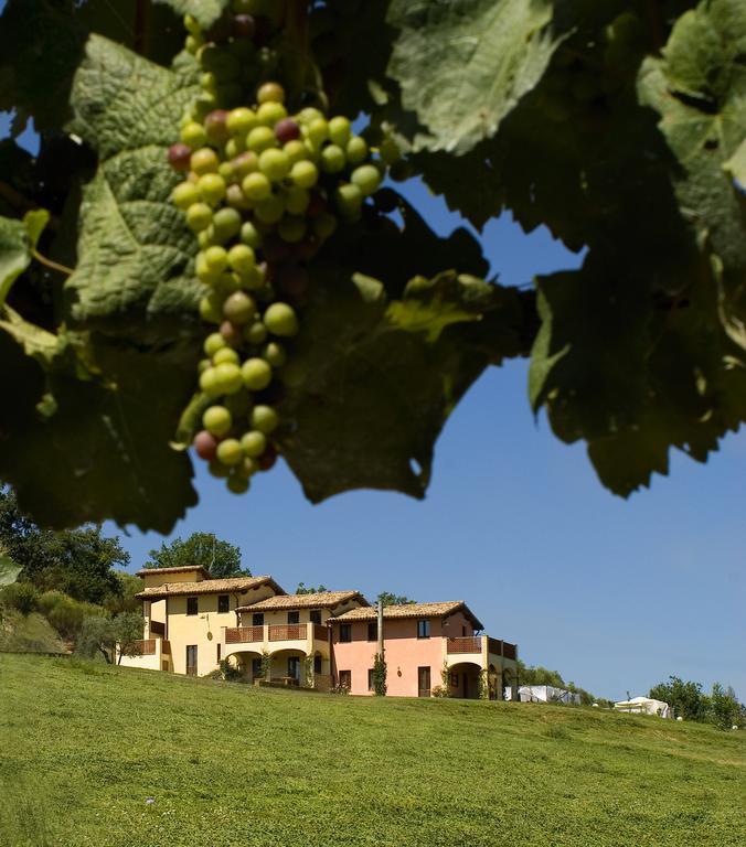 الشقق الفندقية Castel Ritaldiفي  Borgo Le Capannelle المظهر الخارجي الصورة